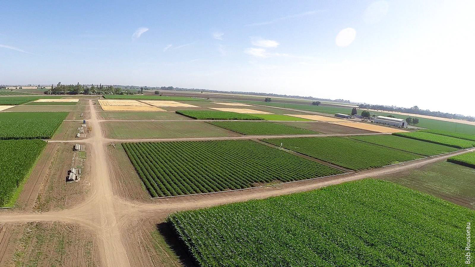 An aerial image of the Century Experiment plots at the UC Davis Russell Ranch Sustainable Agriculture Facility, a 285-acre research facility and working farm. Long-term experiments here are illuminating how soil management and irrigation practices can influence the resilience of agricultural systems to climate change.