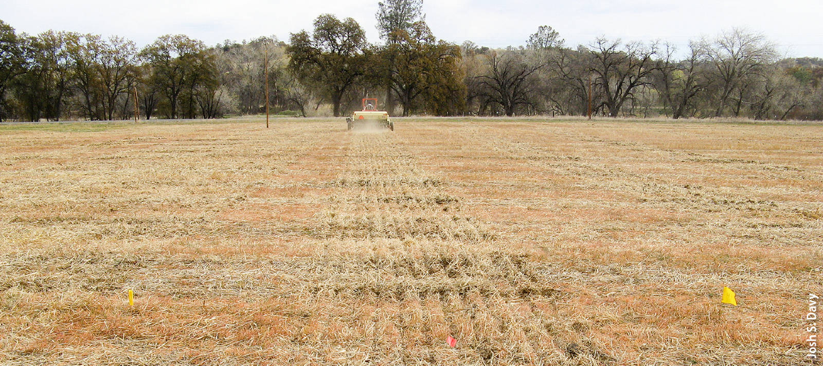 Seeding of a forage test plot in Paskenta (Tehama County), California. Forage productivity has become an increasingly important element in sustaining livestock production as rangeland acreage declines in California – on average, almost 54,000 acres of farming and grazing land were lost each year from 1984 to 2010.