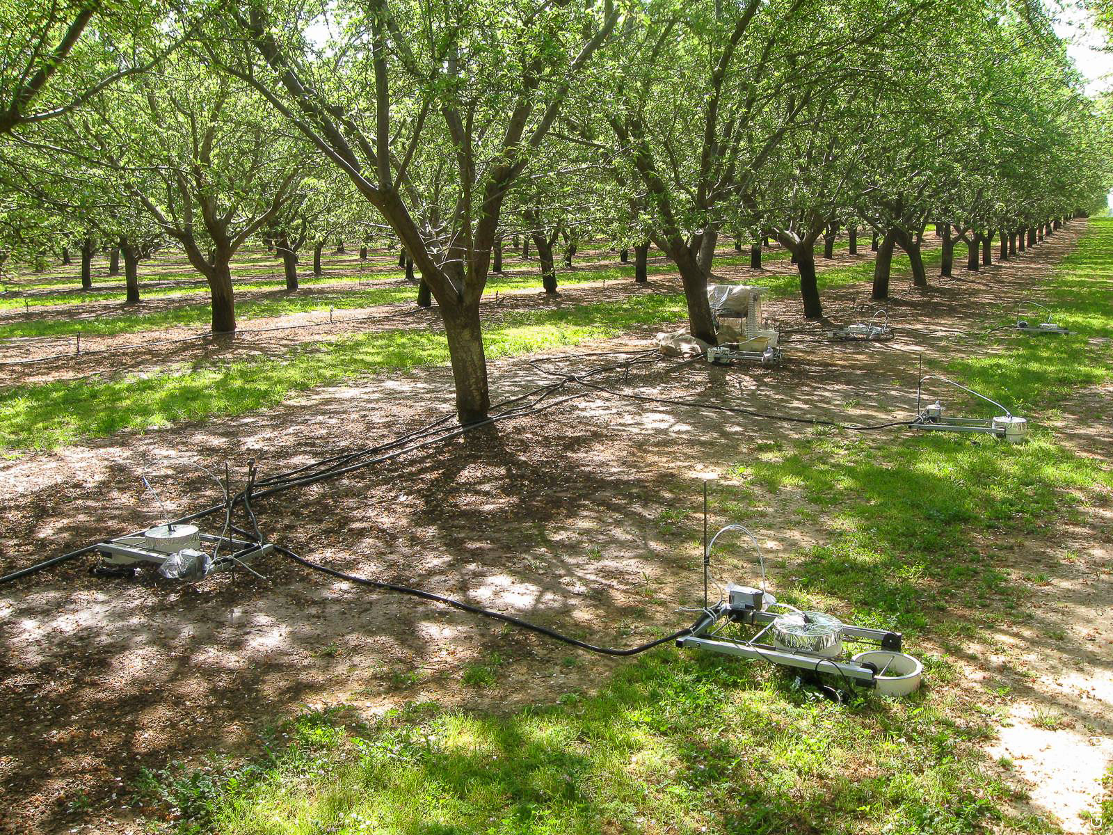 Automated gas flux chambers monitor N<sub>2</sub>O emissions in an almond orchard. Current estimates of emissions from cropland in California are based on the assumption that, in every crop system, 1% of the nitrogen applied as fertilizer is emitted as N<sub>2</sub>O. Findings from the studies reported in this review provide more nuanced estimates, reflecting the large differences in emissions factors among crop systems.