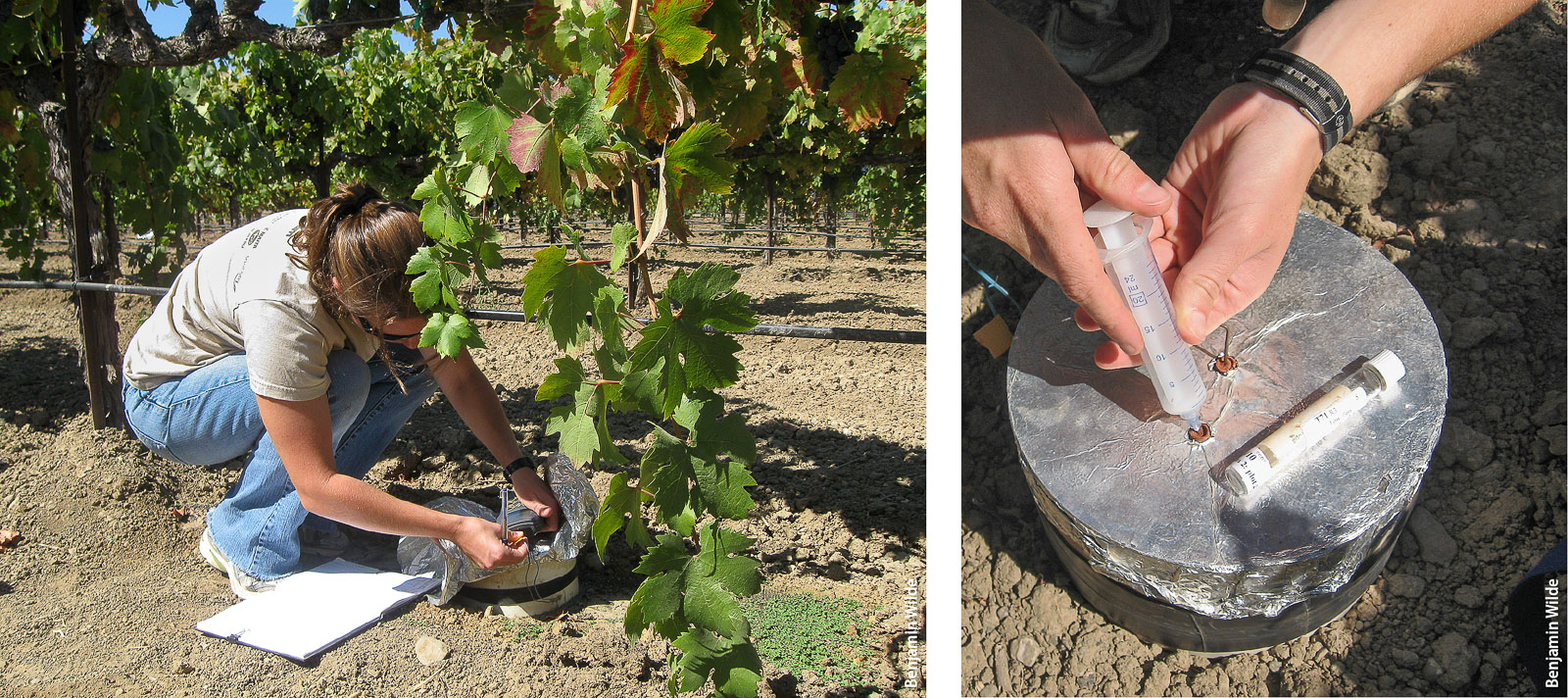 Author Gina Garland (left) records chamber temperatures and (right) takes chamber gas samples in a vineyard.