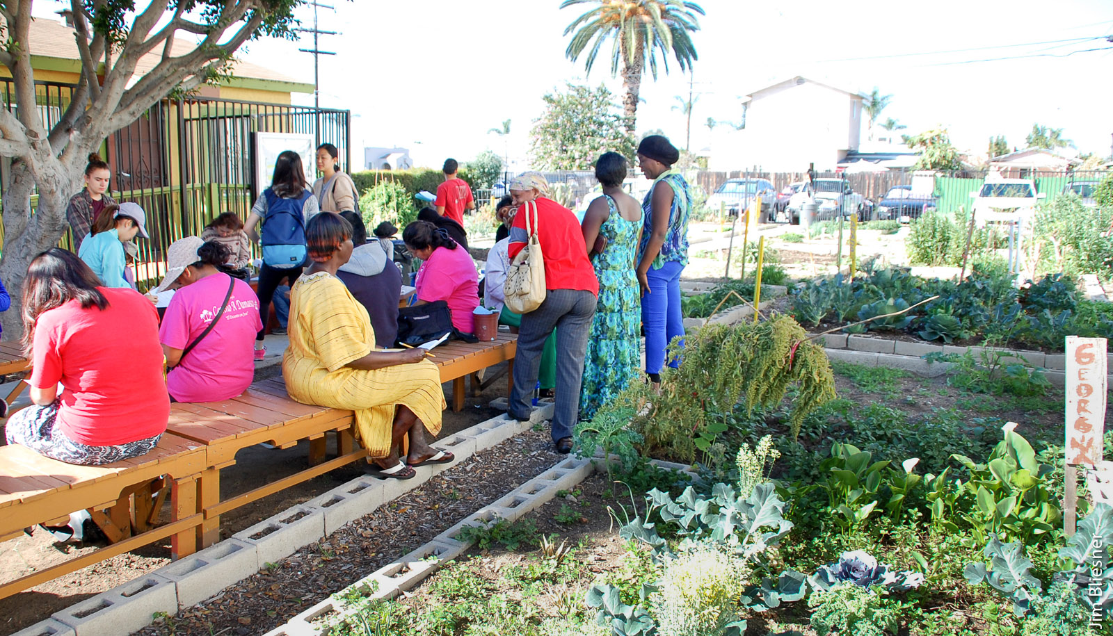 Under the authors' supervision, UC San Diego students administer a survey at City Heights Community Garden in San Diego on the role of community gardens in alternative food systems. In an earlier study in this neighborhood, the authors found a robust informal economy operating among community gardeners.