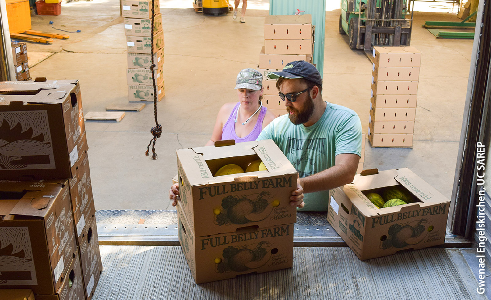 Boxes of melons from Full Belly Farm in Yolo County are loaded into Capay Valley Farm Shop's truck. The truck collects produce from multiple farms in the region for delivery to buyers in the Bay Area.