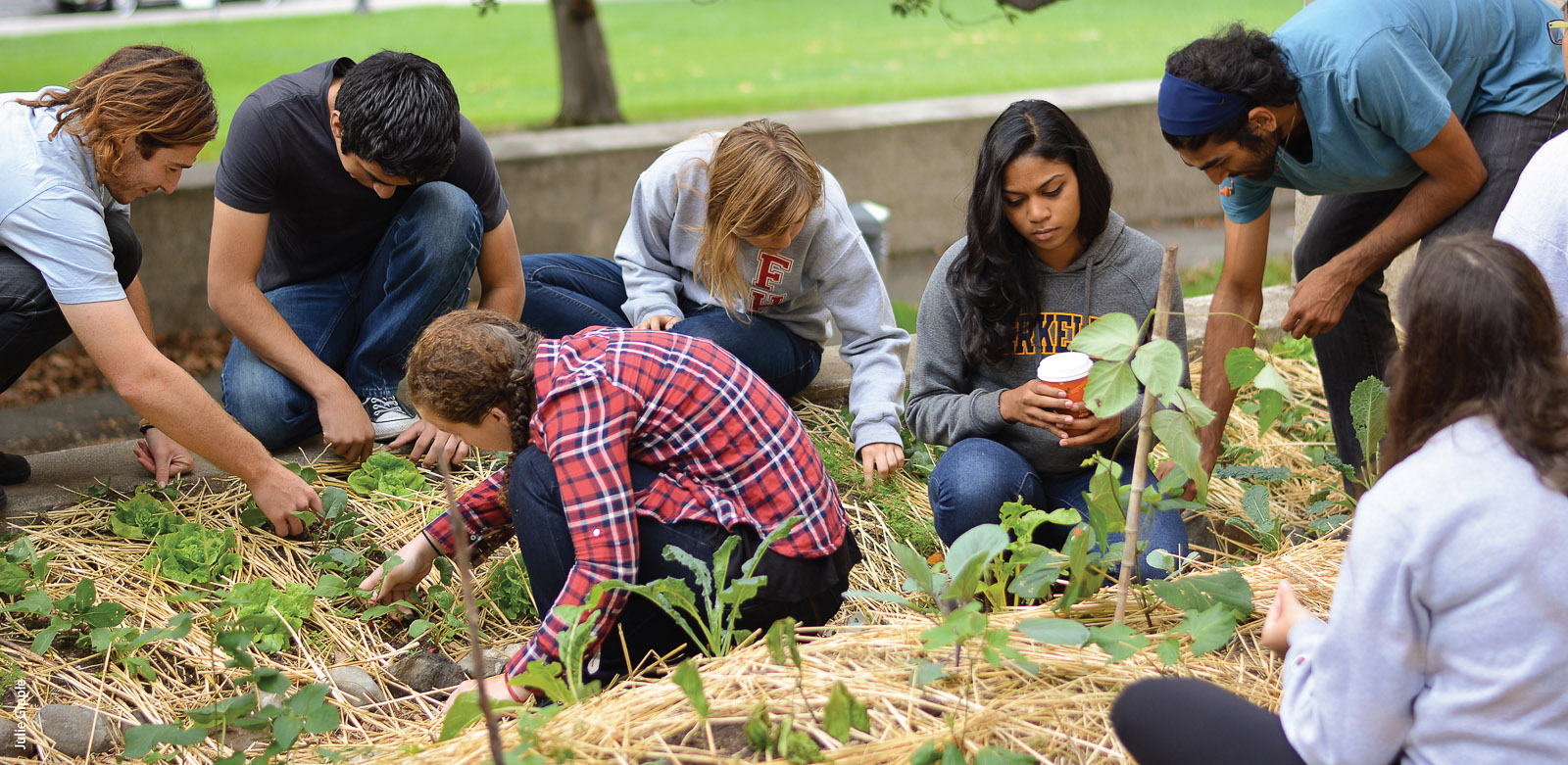 The subcommittee identified over 200 UC courses with experiential learning components, such as this UC Berkeley course on campus landscape ecology.