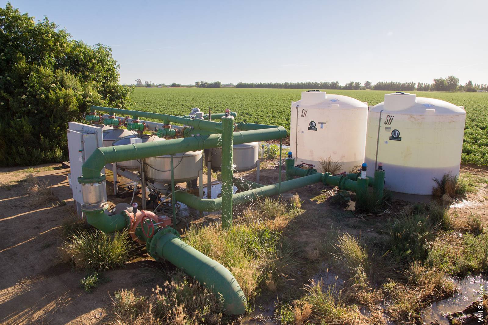 Groundwater pump and filtration equipment sit adjacent to a tomato field in Yolo County.