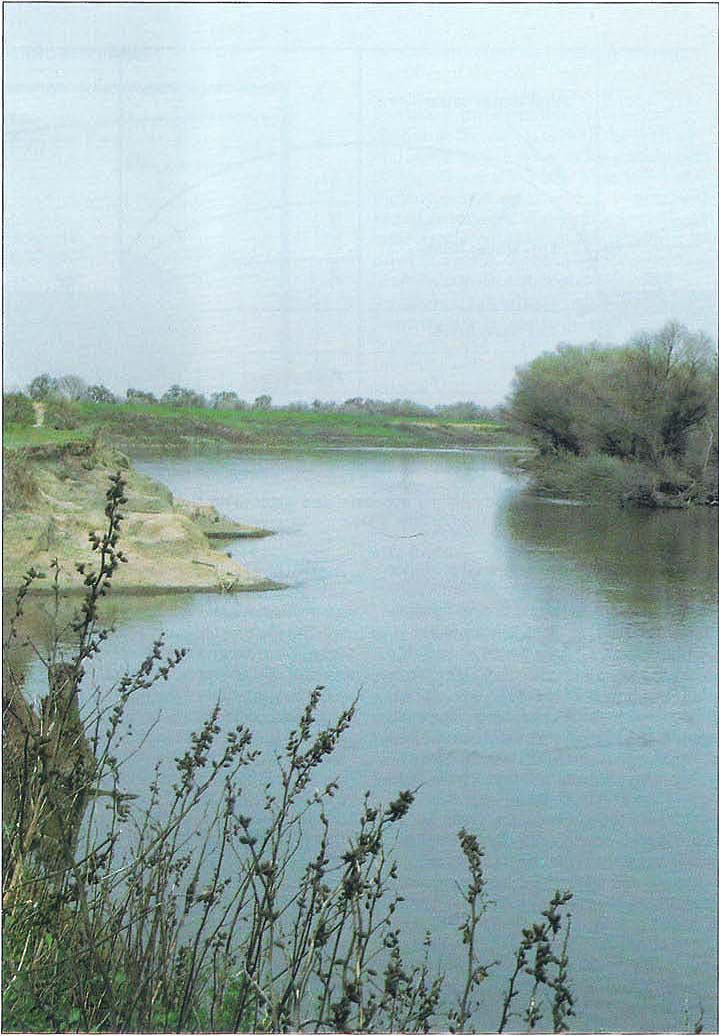 San Joaquin River near Vernalis.