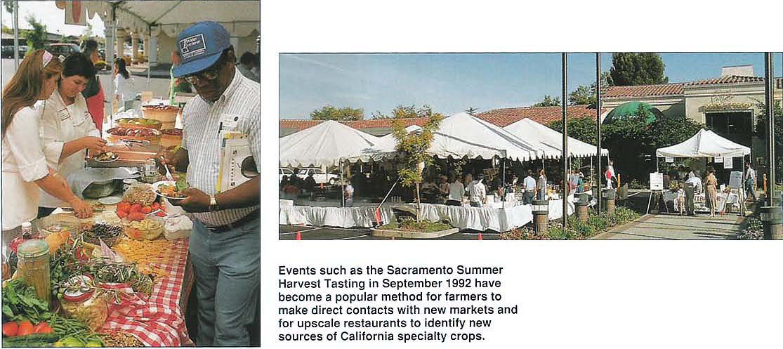 Events such as the Sacramento Summer Harvest Tasting in September 1992 have become a popular method for farmers to make direct contacts with new markets and for upscale restaurants to identify new sources of California specialty crops.