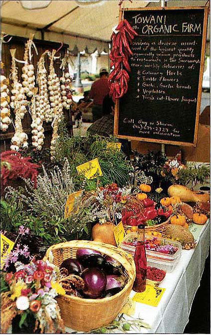 Organic produce displayed by one small farmer at the Sacramento Summer Harvest Tasting in September, 1992.