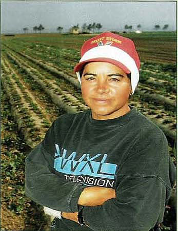 Julia Magaña, a Santa Maria strawberry grower for 4 years.