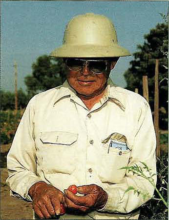 A Fresno County farmer for 5 decades, Shig Hayashi applies UC-developed “pheromone confusion” to control tomato pinworms and reduce chemical insecticide use.