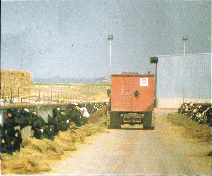 At a typical, large California dairy, cattle feed on alfalfa and byproducts delivered by mixer truck. See back cover for more photos.