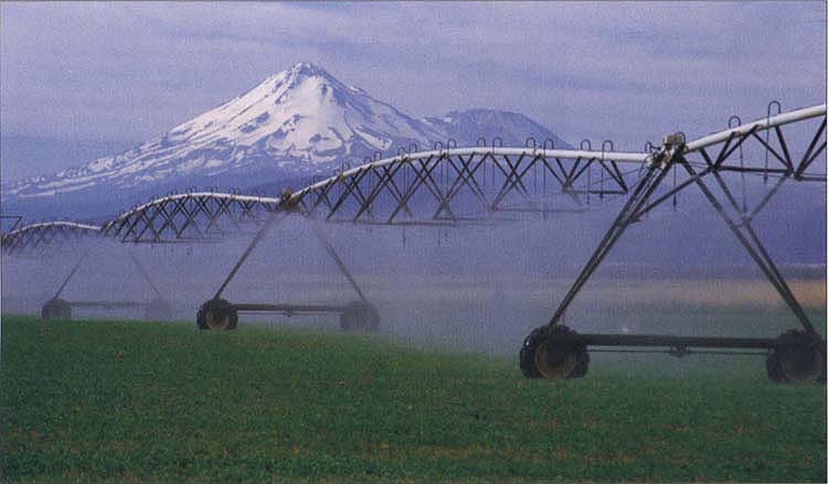 Left, center pivot machines with sprinklers on drop tubes require a higher capital investment than other irrigation systems, but they can be used to irrigate frequently, have high uniformity of applied water under wind, require less labor and are easy to operate.