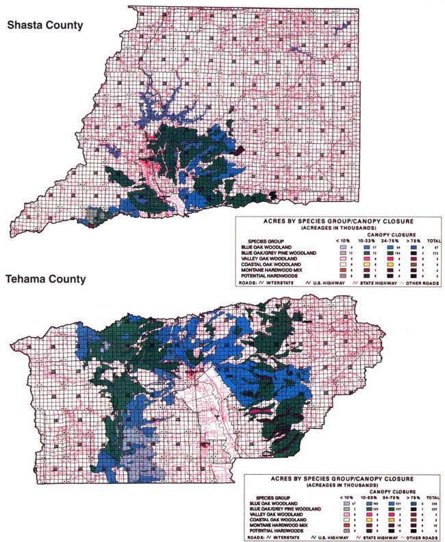 The California Department of Forestry and Fire Protection Hardwood Rangeland GIS maps hardwood rangelands by cover crop and crown cover percentage for the entire state. Crown cover was converted to volume in cubic feet and cords to compare total oak tree volume growth and harvested hardwood. In Tehama County, growth exceeded harvest by 3%. In Shasta County, harvest levels exceeded growth by 30%.