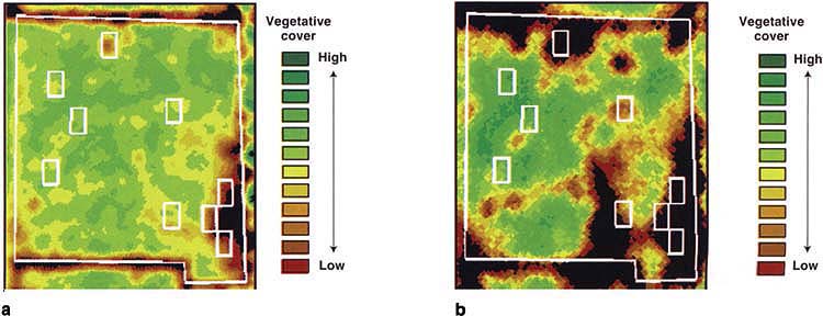 Relative vegetation index image of study site for 1993 (a) and 1994 (b). The index, which is sensitive to leaf area, was first computed for each image pixel as the difference of the infrared and red channels divided by the sum of the infrared and red channels. Next, areas of bare soil or very low leaf area were assigned black (level 0). An image processing routine was used to assign each remaining pixel to one of 12 levels ranging from low to high index value, and to color code output as shown in the legend.
