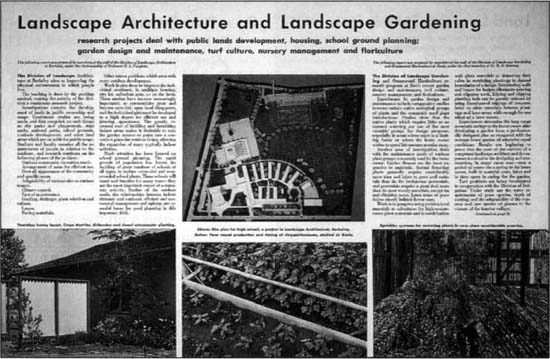 September 1951. Landscape design.