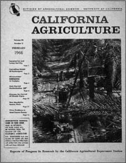 February 1966. Date harvest mechanization.