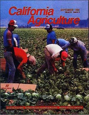 September 1984. Harvest labor.