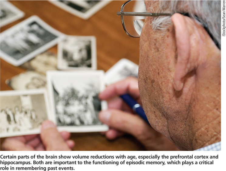 Certain parts of the brain show volume reductions with age, especially the prefrontal cortex and hippocampus. Both are important to the functioning of episodic memory, which plays a critical role in remembering past events.
