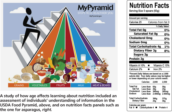 A study of how age affects learning about nutrition included an assessment of individuals’ understanding of information in the USDA Food Pyramid, above, and on nutrition facts panels such as the one for asparagus, right.