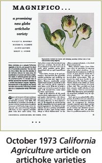 October 1973 California Agriculture article on artichoke varieties