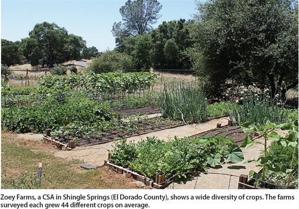 Zoey Farms, a CSA in Shingle Springs (El Dorado County), shows a wide diversity of crops. The farms surveyed each grew 44 different crops on average.