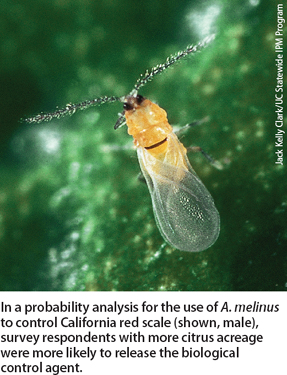 In a probability analysis for the use of A melinus to control California red scale (shown, male), survey respondents with more citrus acreage were more likely to release the biological control agent.