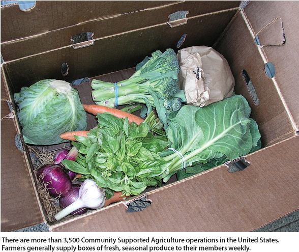 There are more than 3,500 Community Supported Agriculture operations in the United States. Farmers generally supply boxes of fresh, seasonal produce to their members weekly.
