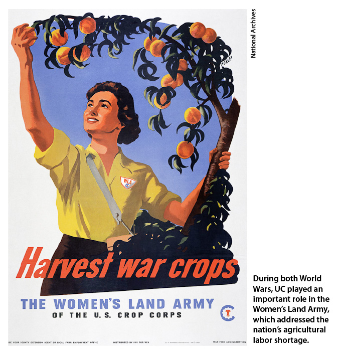 During both World Wars, UC played an important role in the Women's Land Army, which addressed the nation's agricultural labor shortage.