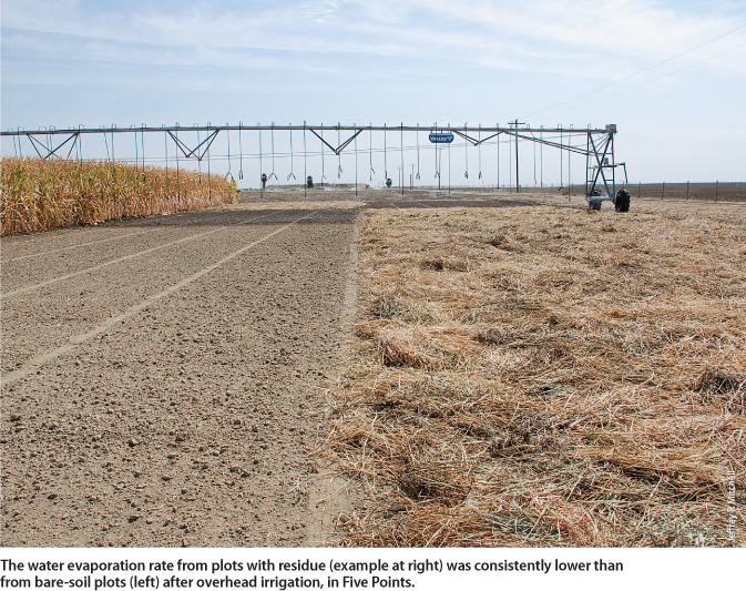 The water evaporation rate from plots with residue (example at right) was consistently lower than from bare-soil plots (left) after overhead irrigation, in Five Points.