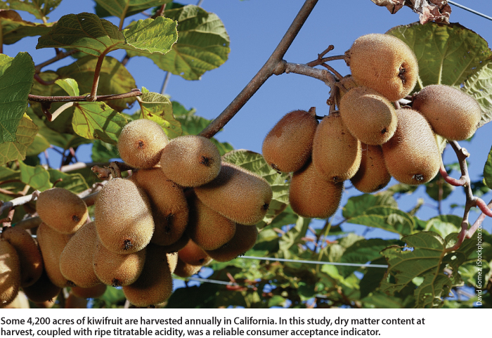 Some 4,200 acres of kiwifruit are harvested annually in California. In this study, dry matter content at harvest, coupled with ripe titratable acidity, was a reliable consumer acceptance indicator.