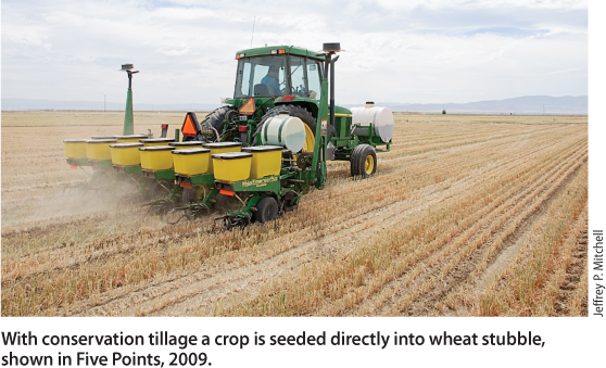 With conservation tillage a crop is seeded directly into wheat stubble, shown in Five Points, 2009.