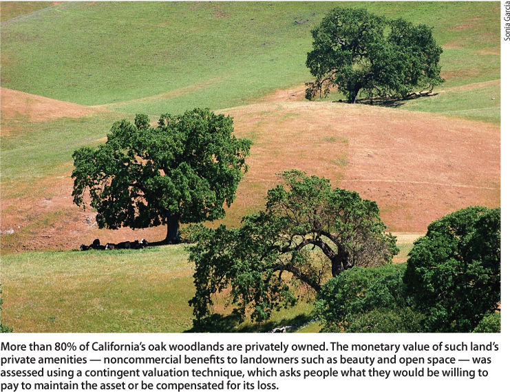 More than 80% of California's oak woodlands are privately owned. The monetary value of such land's private amenities — noncommercial benefits to landowners such as beauty and open space — was assessed using a contingent valuation technique, which asks people what they would be willing to pay to maintain the asset or be compensated for its loss.