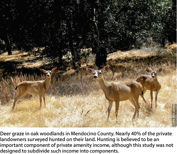 Deer graze in oak woodlands in Mendocino County. Nearly 40% of the private landowners surveyed hunted on their land. Hunting is believed to be an important component of private amenity income, although this study was not designed to subdivide such income into components.