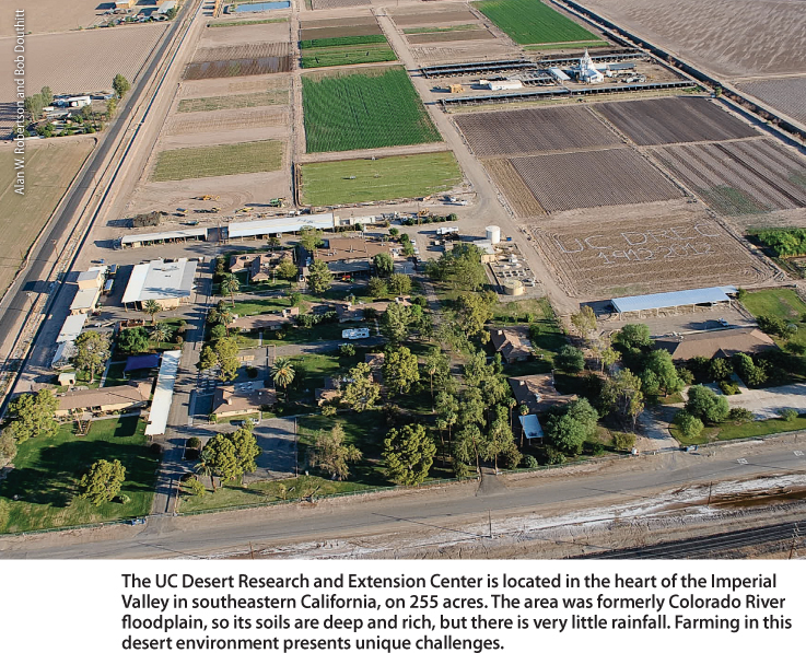 The UC Desert Research and Extension Center is located in the heart of the Imperial Valley in southeastern California, on 255 acres. The area was formerly Colorado River floodplain, so its soils are deep and rich, but there is very little rainfall. Farming in this desert environment presents unique challenges.