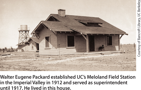 Walter Eugene Packard established UC's Meloland Field Station in the Imperial Valley in 1912 and served as superintendent until 1917. He lived in this house.