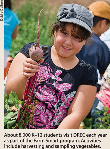 About 8,000 K-12 students visit DREC each year as part of the Farm Smart program. Activities include harvesting and sampling vegetables.