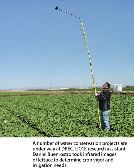 A number of water conservation projects are under way at DREC. UCCE research assistant Daniel Buenrostro took infrared images of lettuce to determine crop vigor and irrigation needs.