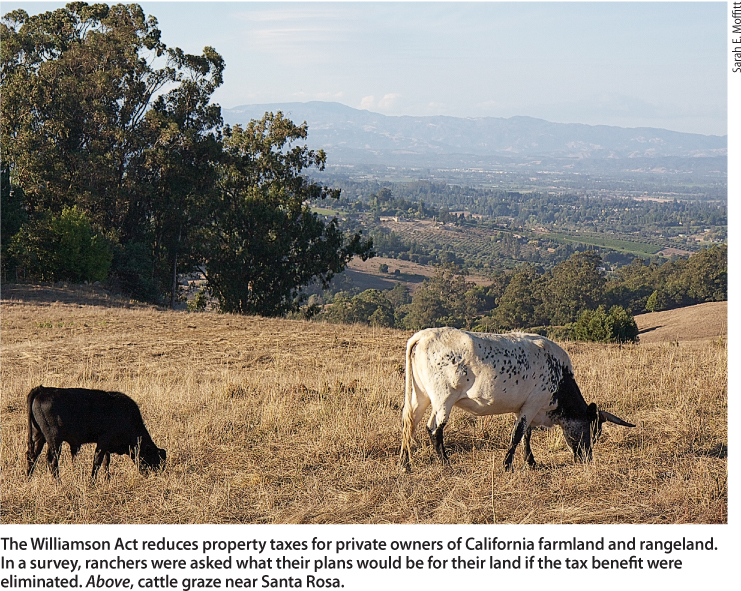 The Williamson Act reduces property taxes for private owners of California farmland and rangeland. In a survey, ranchers were asked what their plans would be for their land if the tax benefit were eliminated. Above, cattle graze near Santa Rosa.