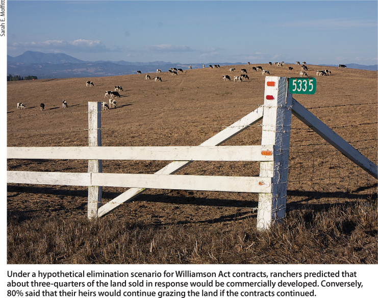 Under a hypothetical elimination scenario for Williamson Act contracts, ranchers predicted that about three-quarters of the land sold in response would be commercially developed. Conversely, 80% said that their heirs would continue grazing the land if the contracts continued.
