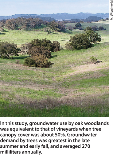 In this study, groundwater use by oak woodlands was equivalent to that of vineyards when tree canopy cover was about 50%. Groundwater demand by trees was greatest in the late summer and early fall, and averaged 270 milliliters annually.