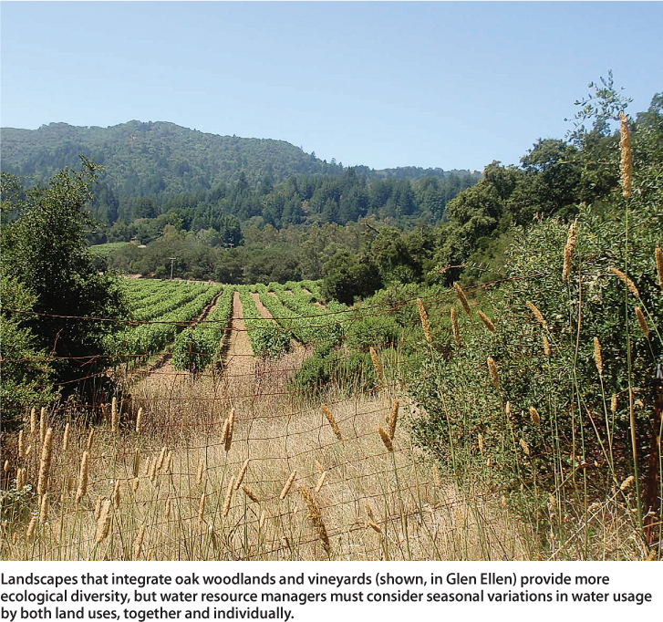 Landscapes that integrate oak woodlands and vineyards (shown, in Glen Ellen) provide more ecological diversity, but water resource managers must consider seasonal variations in water usage by both land uses, together and individually.