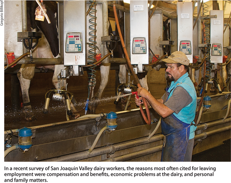 In a recent survey of San Joaquin Valley dairy workers, the reasons most often cited for leaving employment were compensation and benefits, economic problems at the dairy, and personal and family matters.