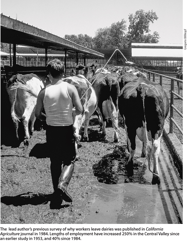 The lead author's previous survey of why workers leave dairies was published in California Agriculture journal in 1984. Lengths of employment have increased 250% in the Central Valley since an earlier study in 1953, and 40% since 1984.