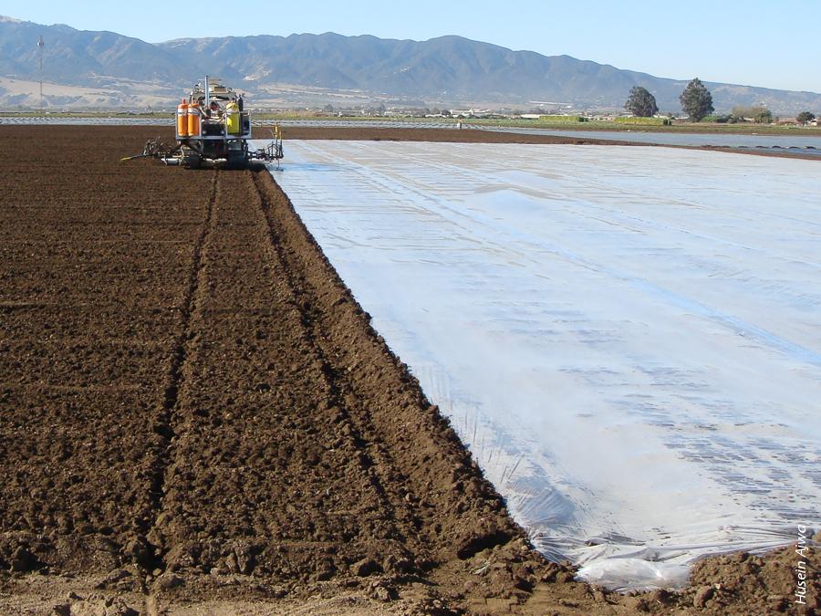 Researchers with the PAW-MBA studied the use of plastic tarp technologies such as totally impermeable film (TIF) to improve fumigant performance while reducing emissions. Above, broadcast shank fumigation under TIF, Salinas, CA.