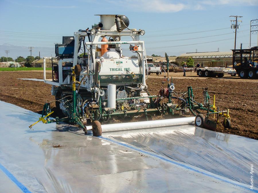 Data from the Oxnard trial indicate that a longer tarp-covering period than the standard 5 days is needed to reduce emissions associated with tarp cutting. Above, broadcast shank fumigation under TIF, Oxnard, Ventura County, September 2009.