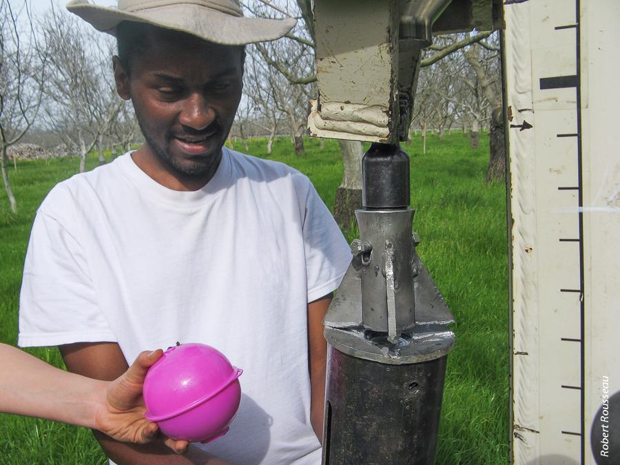 Developing baseline soil carbon estimates is the essential first step that will allow growers to calculate their carbon sequestration rate. Above, M.K. Ngugi with GPS marker ball at Dixon Ridge Farms, Winters.