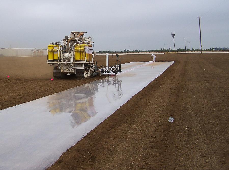Large-plot soil fumigation experiments in commercial nurseries test and demonstrate available methyl bromide alternatives under real-world conditions. Above, HDPE application at a tree nursery trial near Yuba City, CA.