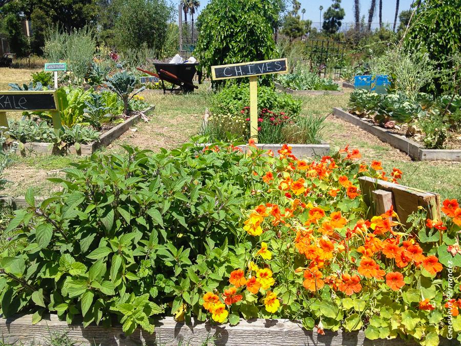 Researchers verified and mapped 118 community gardens, 761 school gardens, 211 nurseries and 171 farms in Los Angeles County.