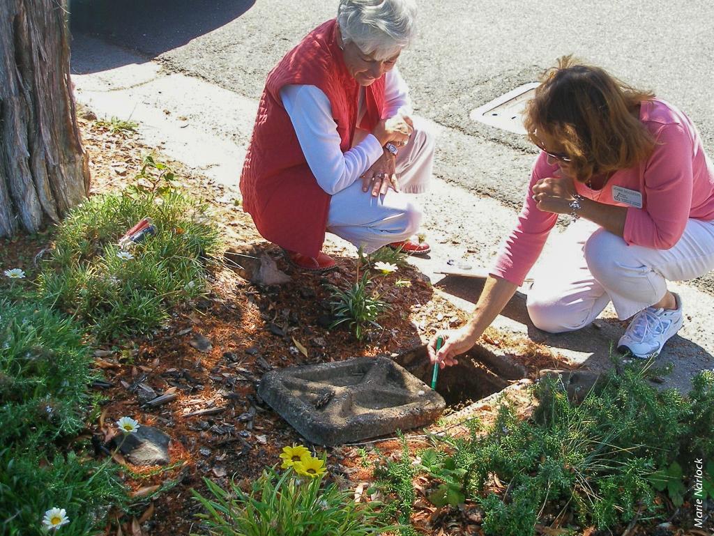Marin Master Gardener Jeanne Ballesttrero, right, shows client Candace Berthrong, left, how to read her water meter for water leaks, and how to use the meter to manage water usage. Ballesttrero is one of more than 100 Master Gardeners who have been trained in water conservation by the Marin Municipal Water District water district as part of the Garden Walks program.