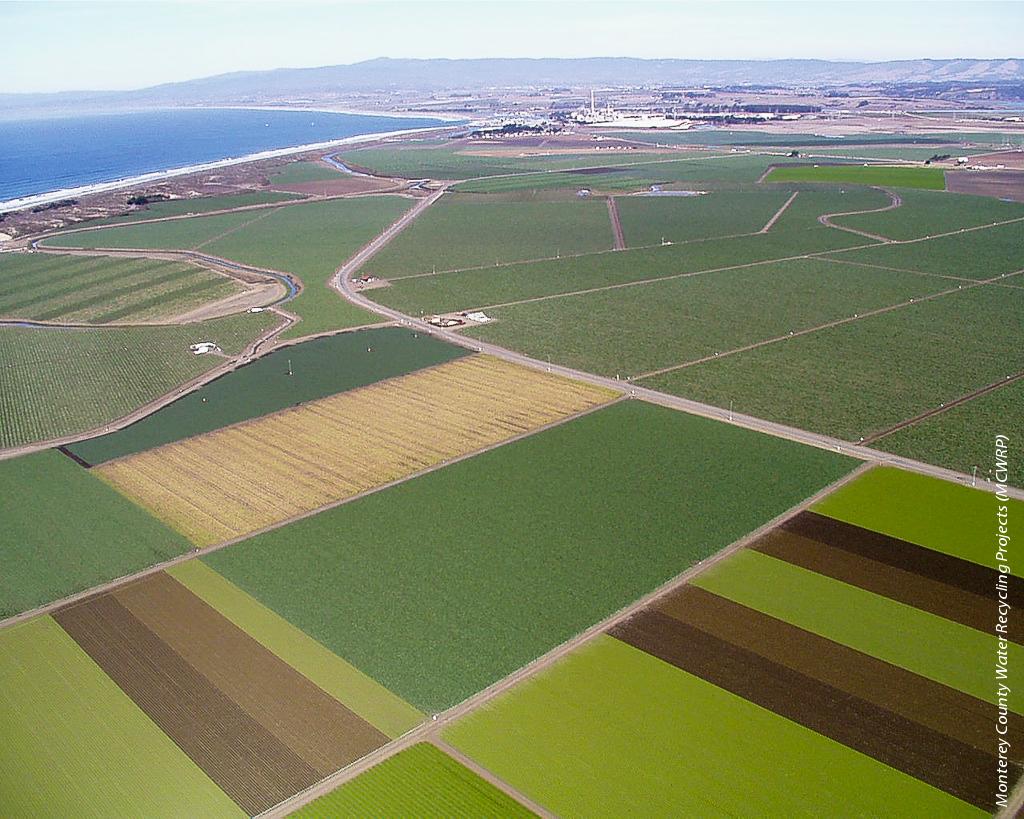 A study started in 2000 is evaluating possible long-term effects of using various levels of recycled water to irrigate Monterey County strawberry and vegetable fields.