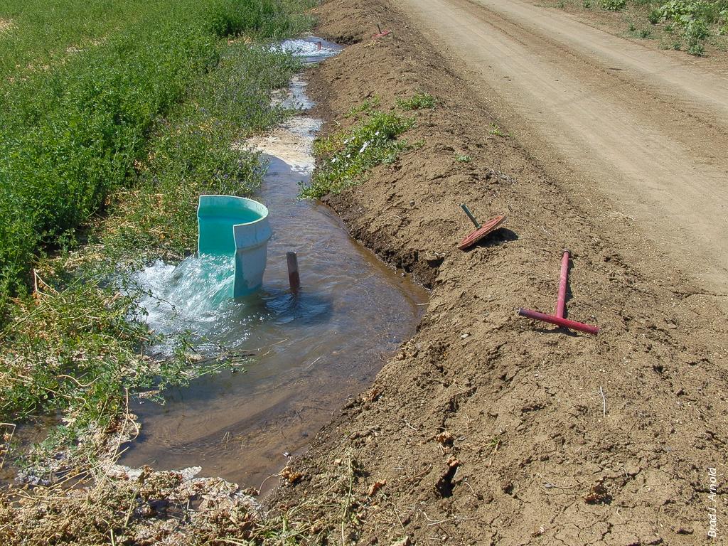 Capped valves (alfalfa valves) provided consistent water inflow rates in field B.